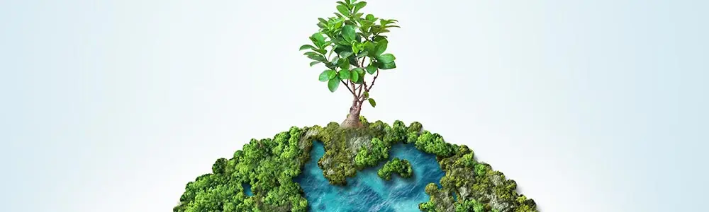 tree growing at the top of planet earth