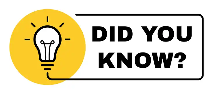 "did you know" vector and light bulb