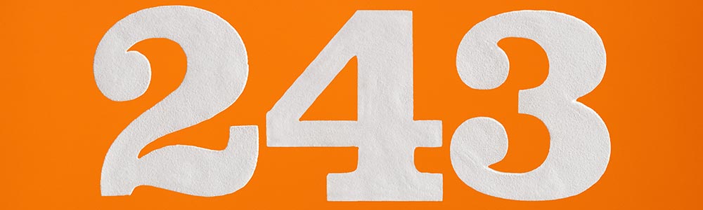 number 243 Win slots on online slots real money 243 Ways